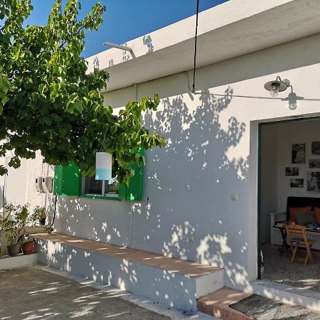 Maison De Village Au Calme - Alonia Village House Psinthos Exterior foto
