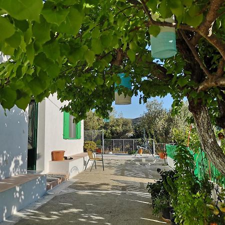 Maison De Village Au Calme - Alonia Village House Psinthos Exterior foto