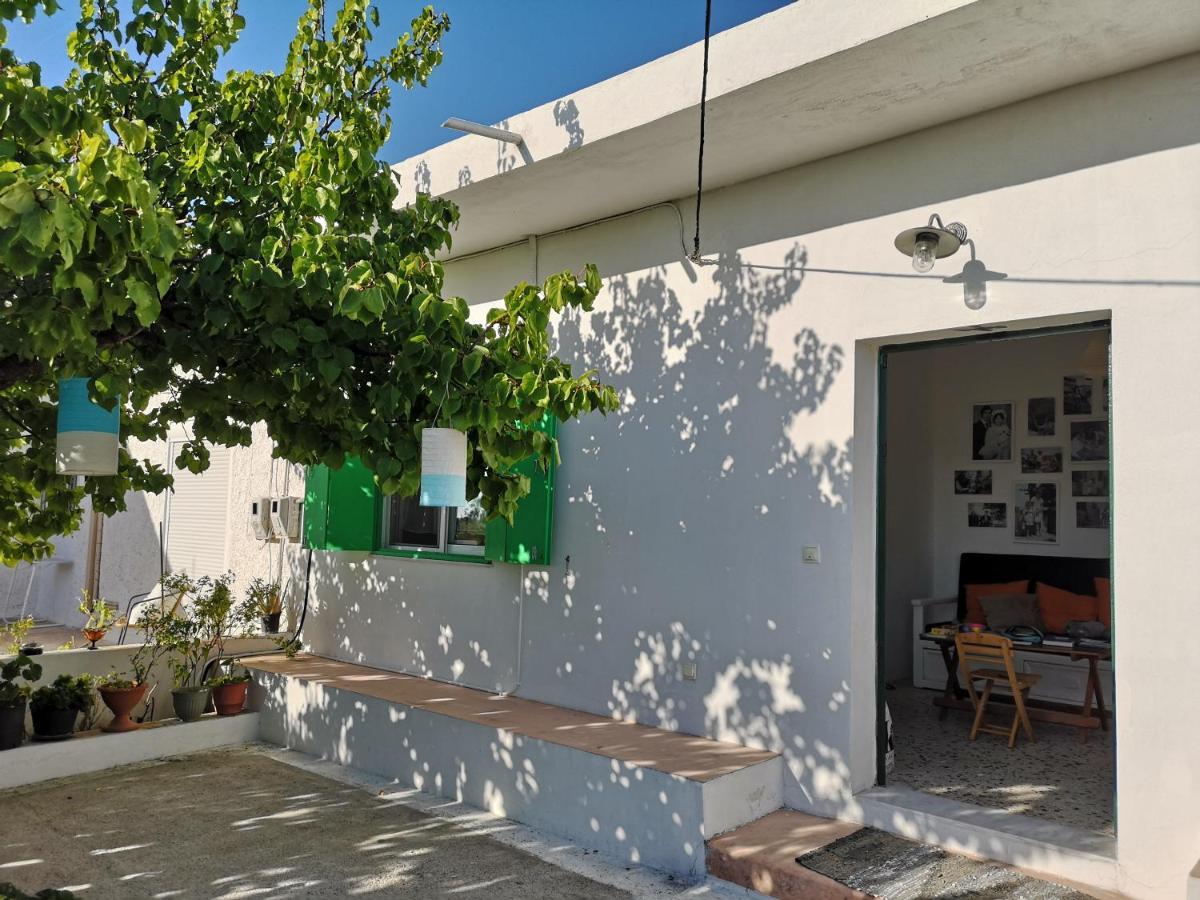 Maison De Village Au Calme - Alonia Village House Psinthos Exterior foto