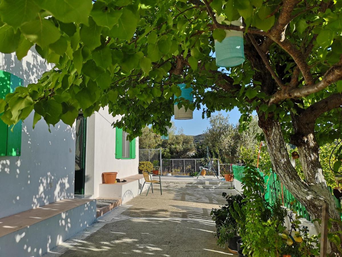 Maison De Village Au Calme - Alonia Village House Psinthos Exterior foto