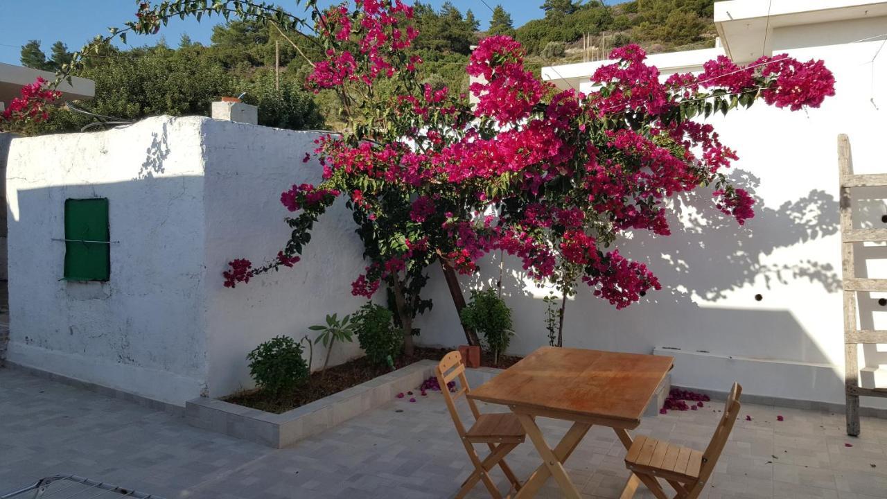 Maison De Village Au Calme - Alonia Village House Psinthos Exterior foto